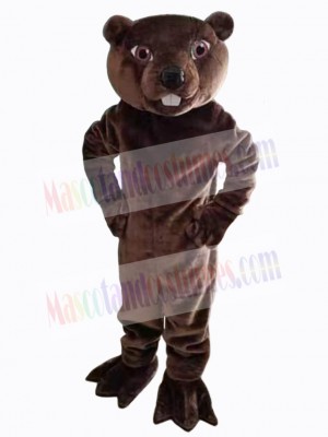 Beaver mascot costume