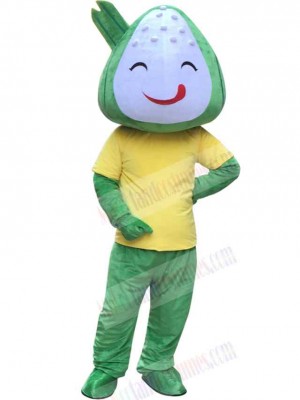 Rice Dumpling mascot costume