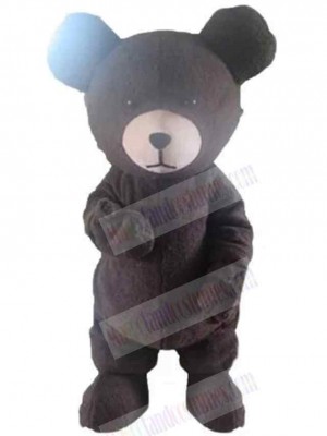 Classic Bear Mascot Costume For Adults Mascot Heads