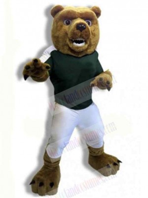 Bear mascot costume