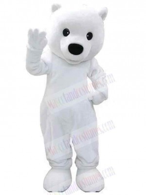 Bear mascot costume