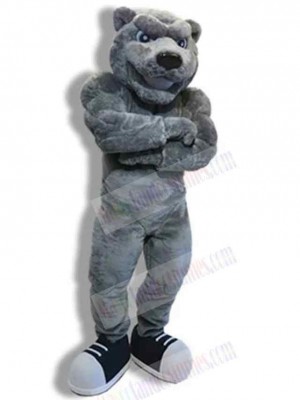 Bear mascot costume