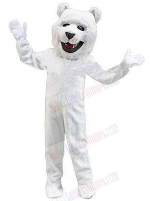 Bear mascot costume