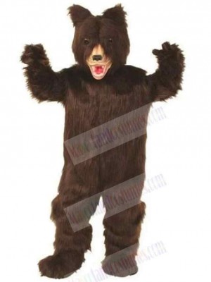 Bear mascot costume