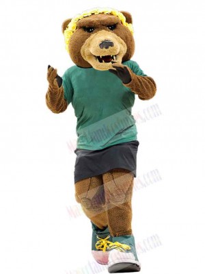 Bear mascot costume