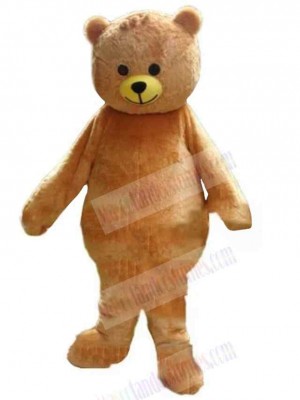 Bear mascot costume