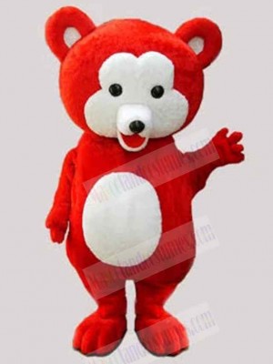 Bear mascot costume