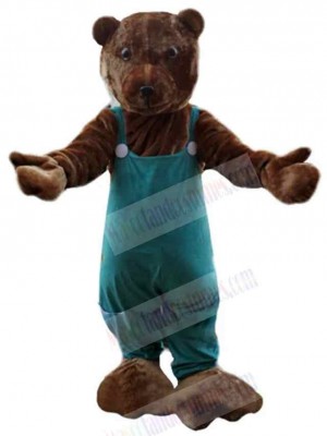 Bear mascot costume