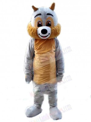 Veracious Brown Squirrel Mascot Costume Animal