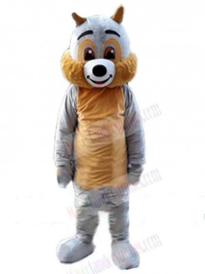 Squirrel mascot costume