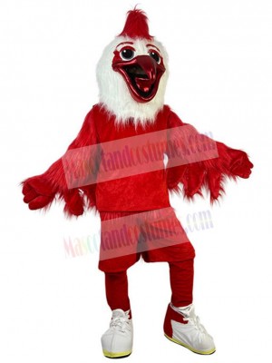 Bird mascot costume