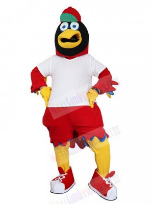 Colorful Eagle Hawk Mascot Costume Animal