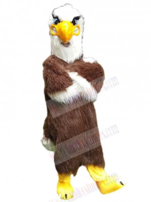 Eagle Hawk mascot costume