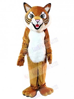 Outdoor Tiger Mascot Costume Animal