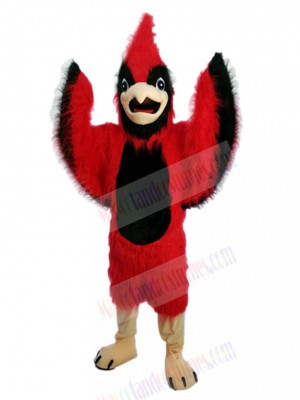 Bird mascot costume
