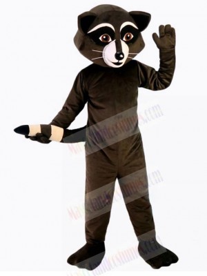 Lovely Raccoon Mascot Costume Animal