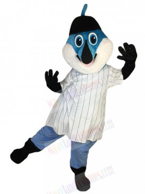 Dolphin mascot costume