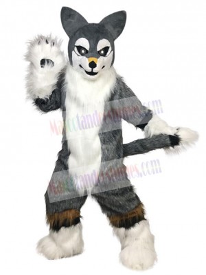 Cartoon Grey Husky Dog Mascot Costume Animal