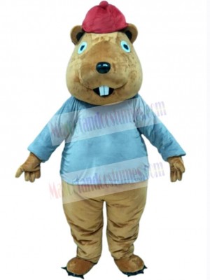 Beaver mascot costume