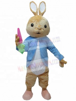 Peter Rabbit Mascot Costume Animal