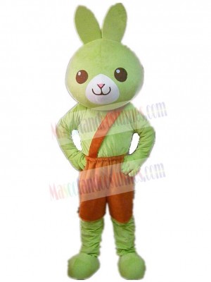 Green Rabbit Mascot Costume Animal