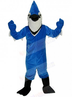 bird mascot costume