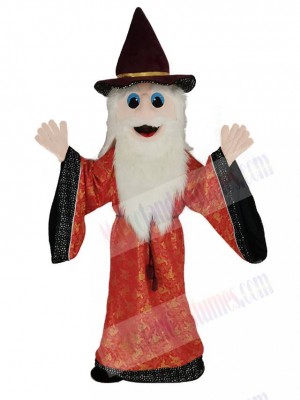 Merlin Wizard Mascot Costume Cartoon