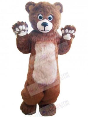 Bear mascot costume