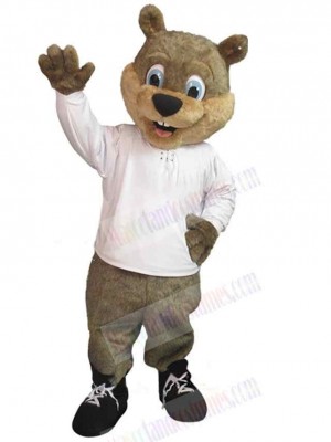 Likable Bear Mascot Costume Animal