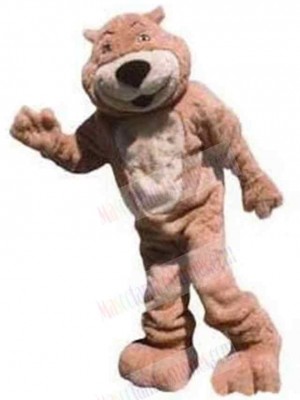 Plush Adult Bear Mascot Costume Animal