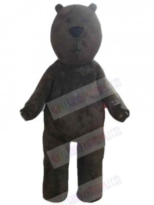 Frowning Brown Bear Mascot Costume Animal