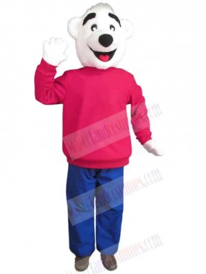 Bear mascot costume
