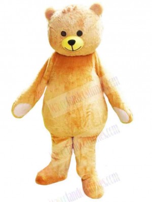 Likable Soft Bear Mascot Costume Animal