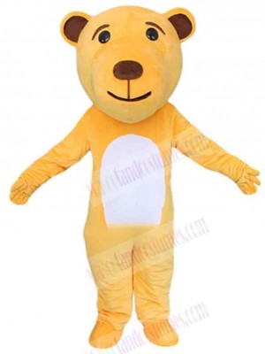 Bear mascot costume