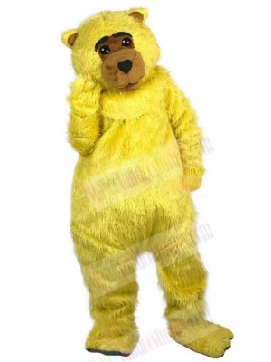 Bear mascot costume