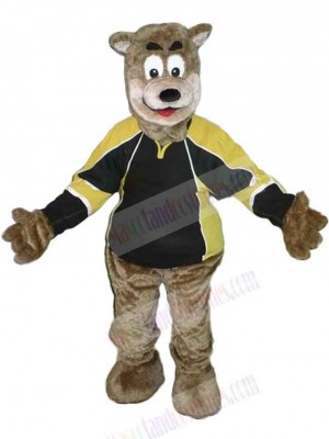 Bear mascot costume