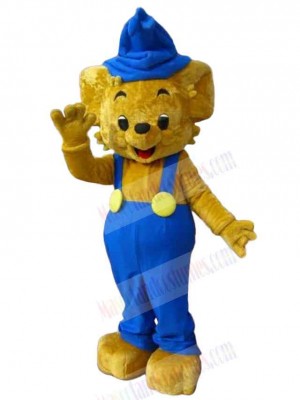 Bear mascot costume