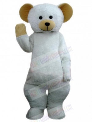 Bear mascot costume