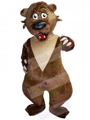 Bear mascot costume