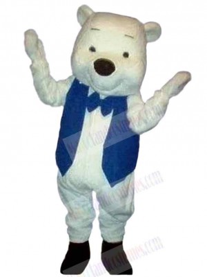 Bear mascot costume