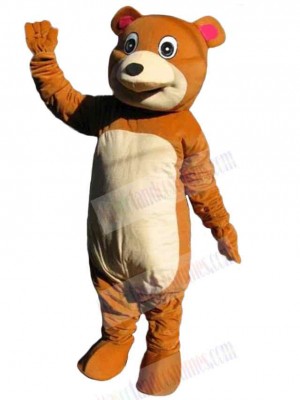 Bear mascot costume
