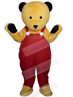 Bear mascot costume