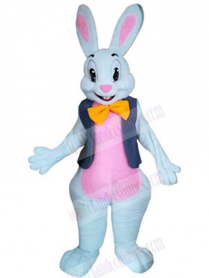 Bunny mascot costume