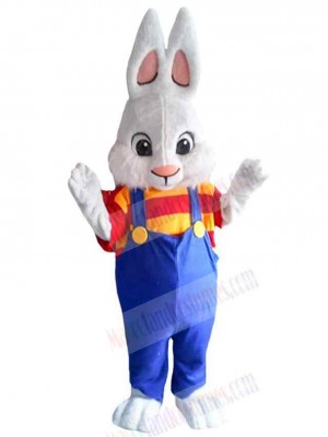 Cute Easter Bunny Boy Mascot Costume Animal