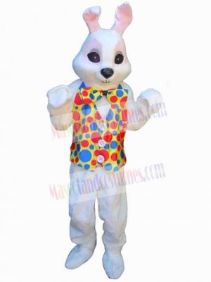 Easter Bunny Rabbit mascot costume