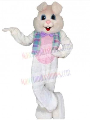 Easter Bunny Rabbit mascot costume