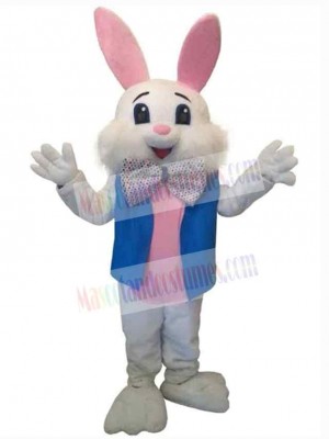 Easter Bunny Rabbit mascot costume
