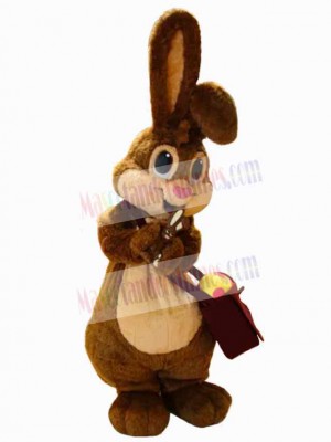 Easter Bunny Rabbit mascot costume