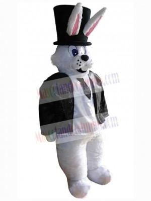 Easter Bunny Rabbit mascot costume