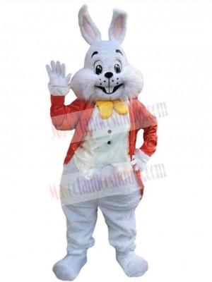 Greeting Easter Bunny Mascot Costume Animal